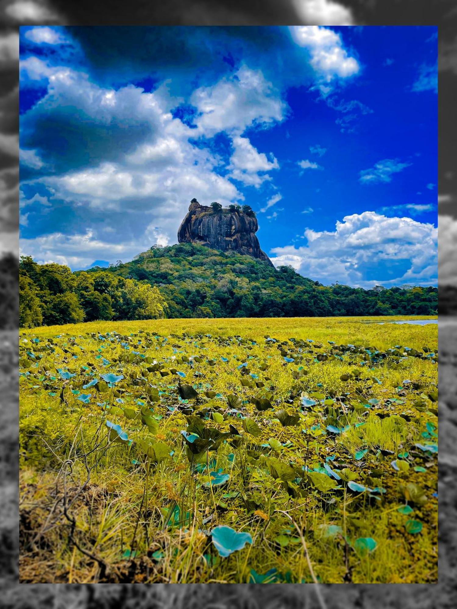 The Lotus Villa Sigiriya Bagian luar foto