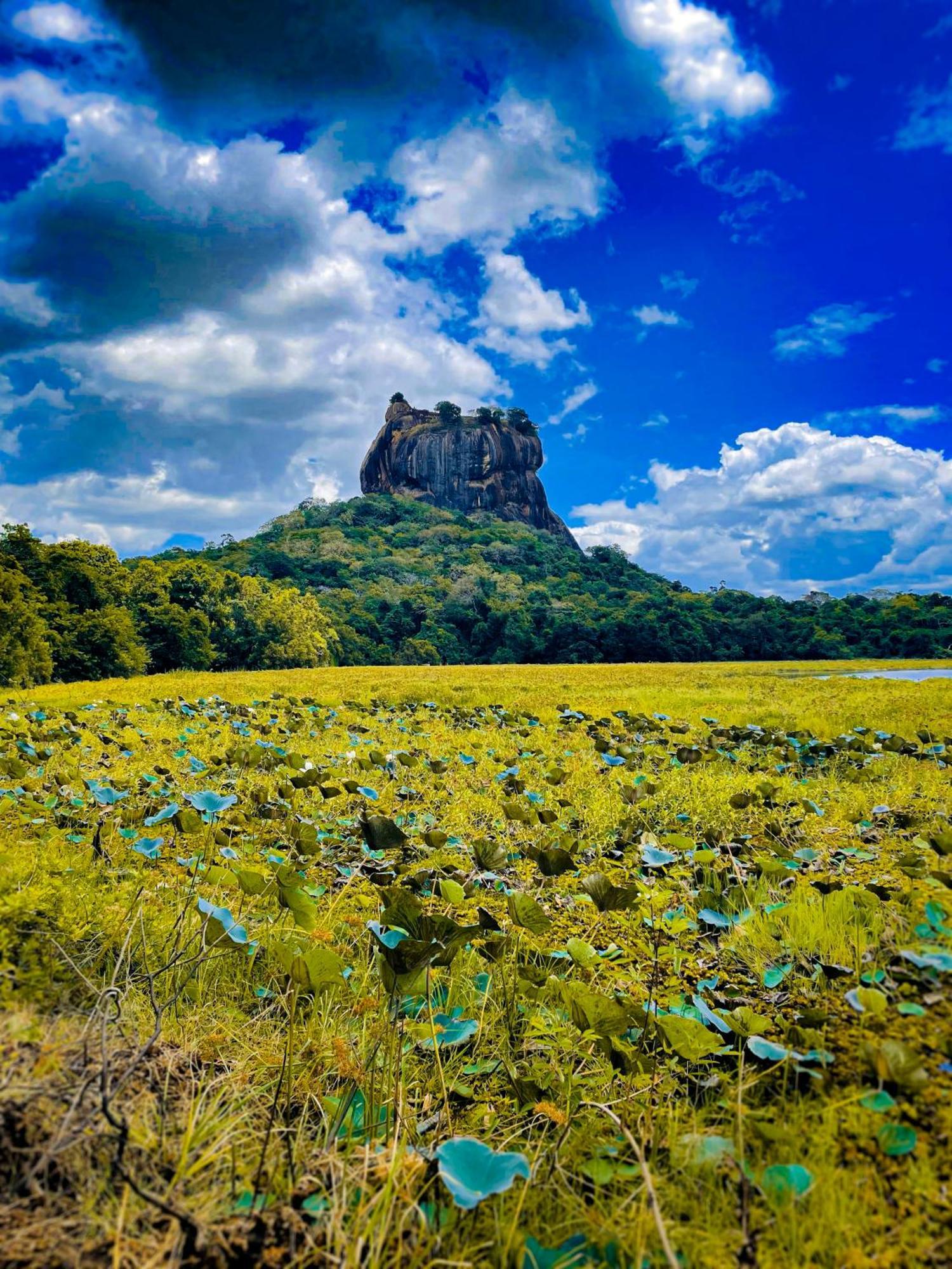 The Lotus Villa Sigiriya Bagian luar foto
